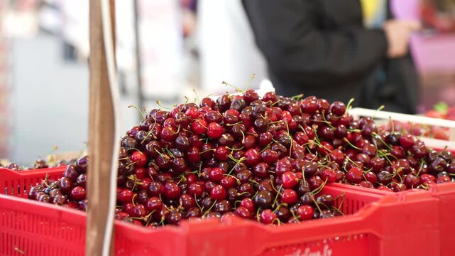 Fresh sweet cherries piled high in red plastic crates at an outdoor farmers market stall highlighting seasonal agriculture produce sales and retail grocery trade trends