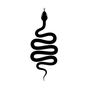 Minimalist black snake silhouette vector, slithering serpent icon on white background, elegant reptile graphic for logo design and branding
