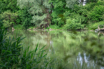Obraz premium river lake background green calm surface serene pond reflecting lush wild forest trees mirror reflection sunny daytime atmosphere with copy space for banner design concept of ecology, science, tourism