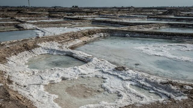 Medium shot capturing unlined solar evaporative salt ponds with natural earthen banks and varied salt crystallization patterns under diffuse sunlight