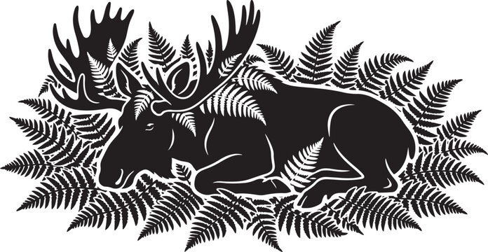 Moose lying down in ferns and leaves in forest  wildlife animal scene