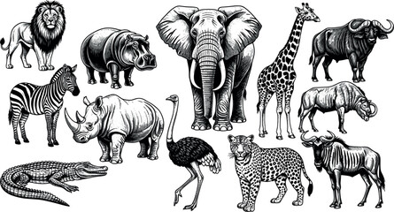 African Safari Wild Animal Silhouette Icon Set with Hand Drawn Engraving Style Lion Elephant Giraffe Rhino Cheetah and Hippo Vector Graphic ElementsAfrican Safari Wild Animal Silhouette Icon Set with  © Bijoy
