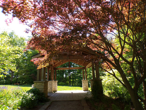 Summer landscape with trees and alcove in the park