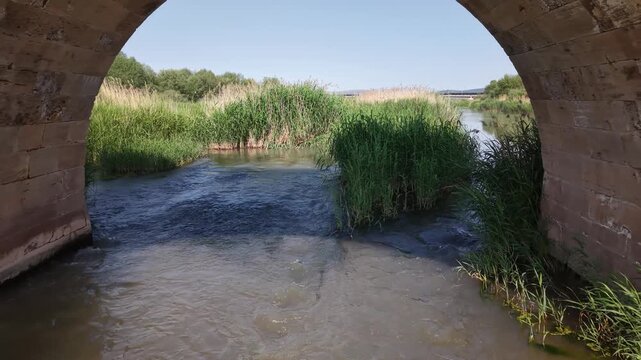 4K drone shot moving slowly backward under a historic stone bridge over a river and reeds, revealing calm wetlands in cinematic smooth motion.