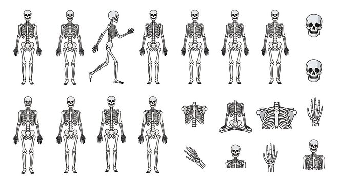 Diverse silhouettes of human activities and professions.