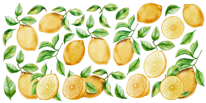 Watercolor Lemon Fruits with Leaves Isolated on Background. Hand Drawn Elements for Organic Packing Design or Products Decoration. Citrus Clipart Set.