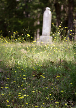 Old Norwegian Cemetery Located in Brownsboro TX
