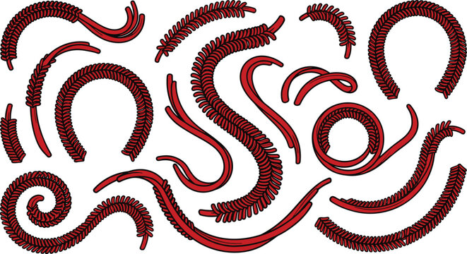 Red Distressed Baseball Laces and Curved Softball Stitches Vector Element Set for Vintage Sports Flourish Logos and Athletic Apparel Print Designs