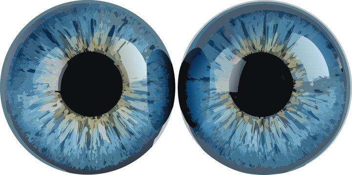 Pair of blue animal eyes with detailed iris and black pupil