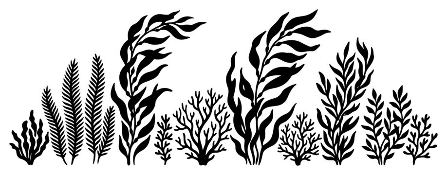 Seaweed and kelp plants collection for underwater landscape in silhouette style