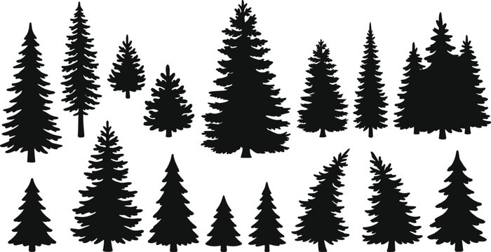 Black silhouettes of various pine trees on white background, tree silhouettes black trees evergreen trees
