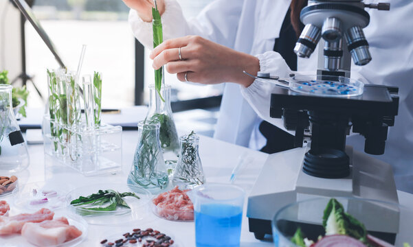 Scientists in lab coats work with plants in a modern lab, focusing on research and experimentation under bright, sterile conditions.