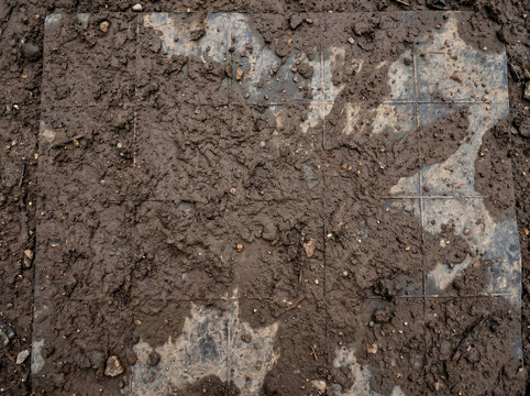 Texture of damp brown mud