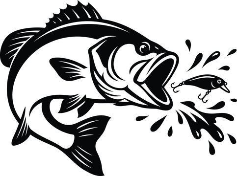 Bass fish jumping to bite a fishing lure black and white