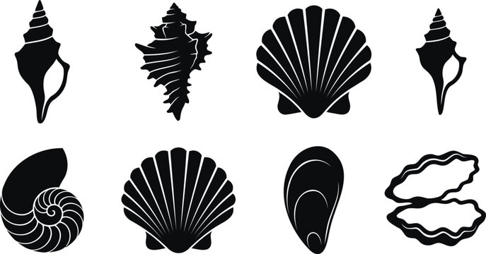 Set of black seashell silhouettes and ocean mollusks