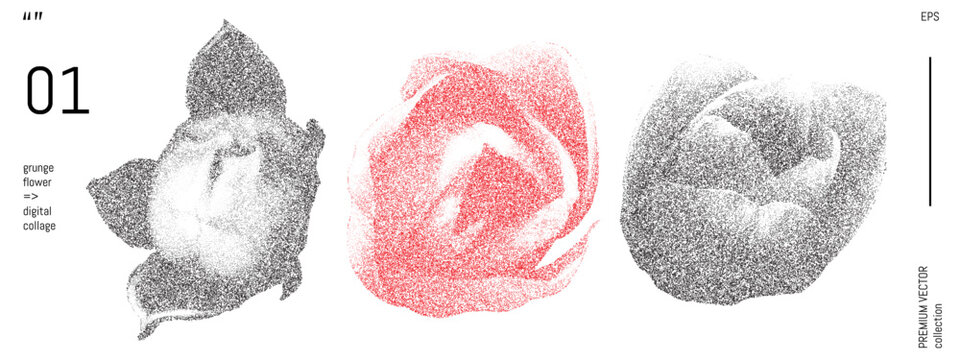 Grunge rose flower for vintage abstract illustration. Stipple floral collage with dotwork texture and rough distress geometry. 90s tattoo with airbrush paint. Trendy digital scan with nature plant