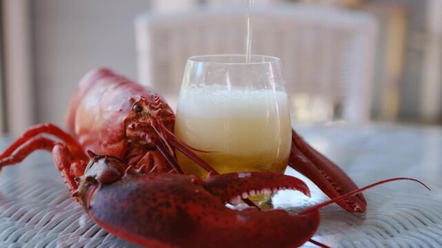 Pouring beer in a glass with red lobster