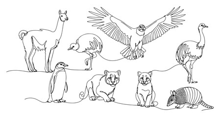 South American animals set featuring llama condor puma rhea penguin and armadillo in minimalist continuous line art style © Aurora