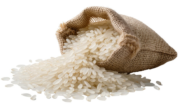 Burlap sack spilling uncooked white rice grains, isolated on transparent background