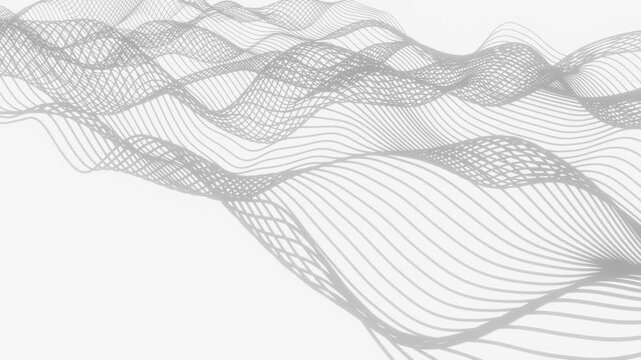 Silver Gradient Wireframe Animation on White, Futuristic Data Flow Loop