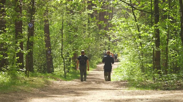 People walking in a forest hiking event handheld sunny view