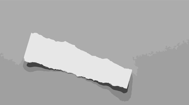 Torn paper scrap with deckle edges, white ripped paper strip on grey background, realistic paper fragment vector for notes and scrapbooking