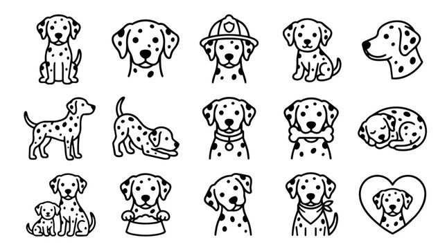 Adorable Dalmatian dogs in various poses and activities