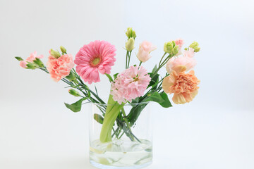 Obraz premium Bouquet of gerbera and carnations arranged in a glass vase on a simple background for decoration