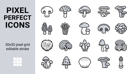 A collection of various mushroom illustrations in black outline on a white background © jannat Stock