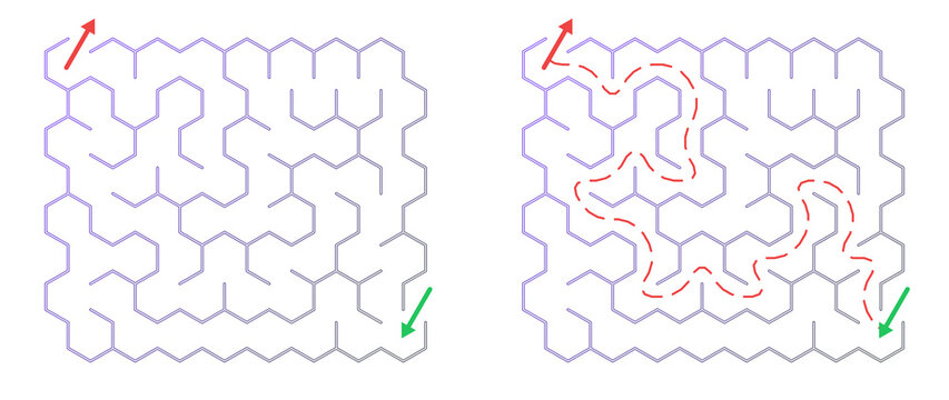Maze challenge with answers. Solved maze 8x8 with red dashed solution path. Easy level.