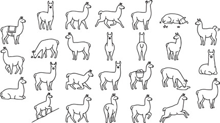 Fototapeta premium Llama Line Art Pose Set – Mountain Farm Animal Outline Vector