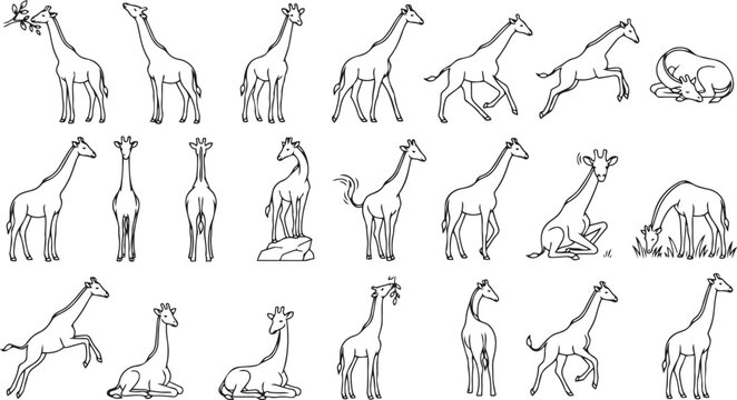 Giraffe Line Art Pose Set &ndash; Tall Safari Animal Outline Vector