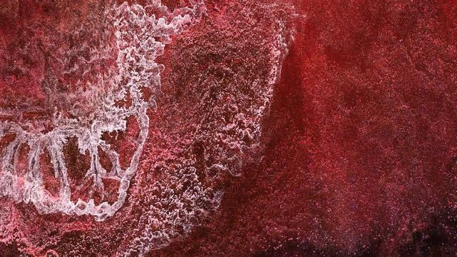 Abstract alcohol ink art with flowing patterns and dynamic forms on a canvas surface