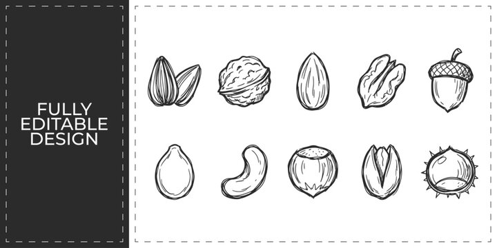 Nuts and healthy seeds icons set featuring walnuts almonds and acorns for organic snack retail and nutritional dietery wellness education graphics