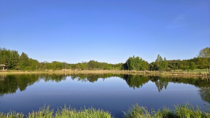 Fototapeta premium lake in the forest