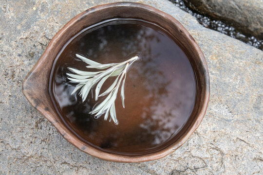 White sage leaves floating in bowl of water