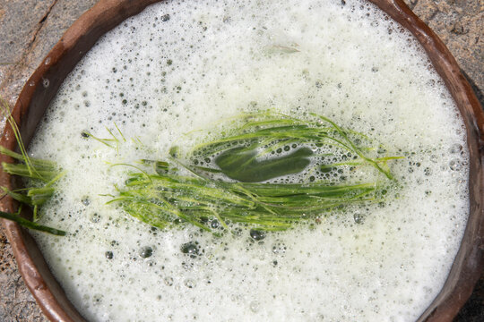 Saponin-rich yucca leaf suds in bowl of water