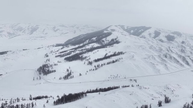 Aerial view of white mountain ridge with dark forest patches Xinjiang