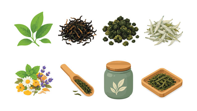 Collection of various types of tea leaves and herbal ingredients