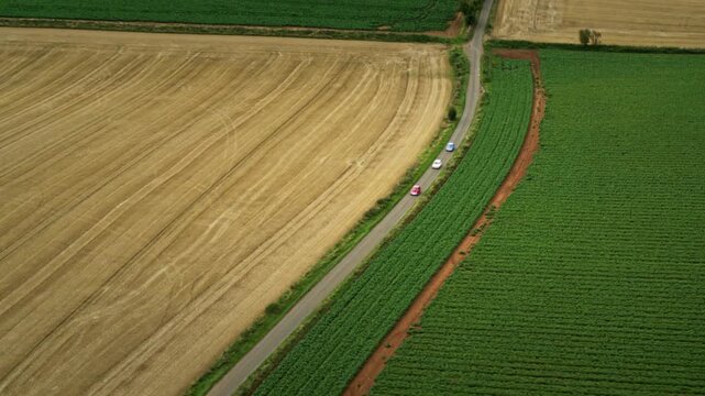 Cars driving on a scenic road separating a green crop from a harvested golden wheat field