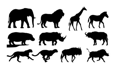 Fototapeta premium Collection of Ten Realistic Human Reference Silhouettes in Detailed Black Vector Set Isolated on White Background