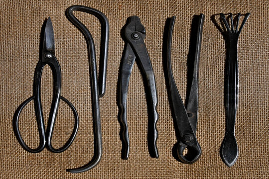 Small selection of Bonsai tools; shears for trimming needles and foliage, root hook, pliers for bending wire, knob cutter, and rake 