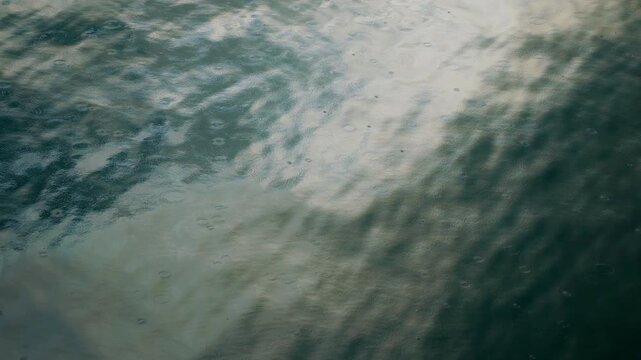 Raindrops create circular ripples on still water surface reflecting cloudy sky and dark tree silhouettes. Peaceful rainy day scene with expanding rings and gentle disturbances on pond.