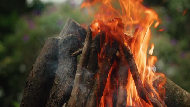 Close-up view of a campfire burning with bright orange and yellow flames consuming stacked wooden logs. Smoke rises from the fire with blurred green garden foliage in the background.