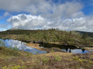 Obraz premium lake in the forest