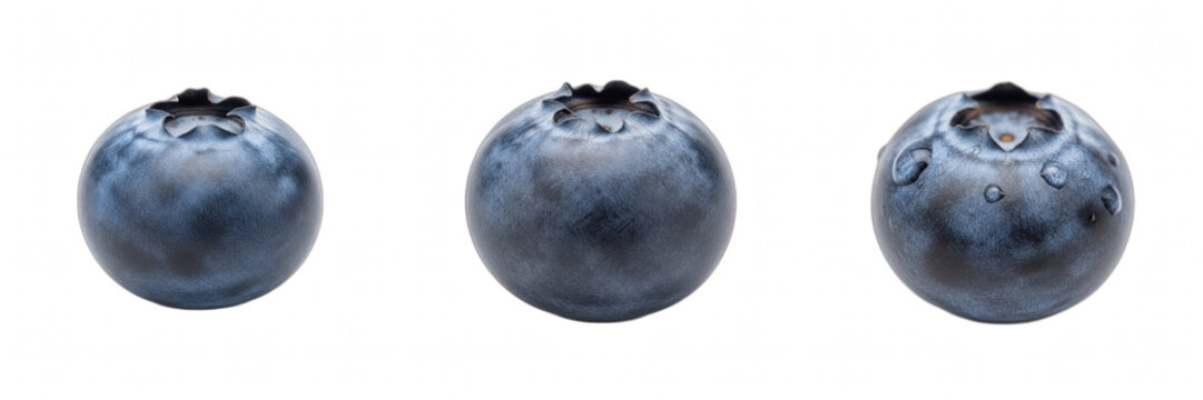 Blueberries Vaccinium corymbosum Isolated on White Background Transparent PNG Format Professional High Resolution Botanical Assets for Creative Food Design Projects and Commercial Stock Photography Us
