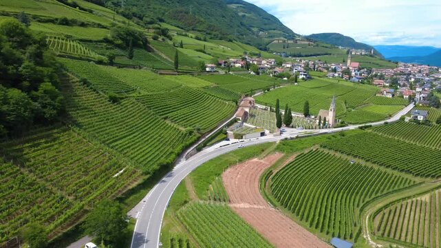 TERMENO - FILARI DI VITI