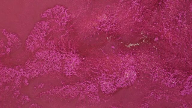Exploring abstract forms with alcohol ink in a video art project