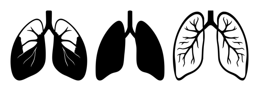 Healthy human lung anatomy set with solid black icon design featuring respiratory system, organ, and internal with medical and anatomical structures