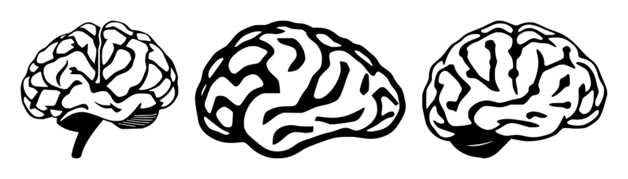 Neurology set with brain connections and neural impulse design featuring synapse, neuron, neurology with brain and impulse